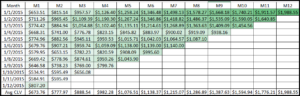 cohort analysis-clv