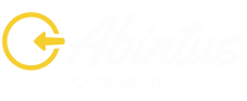 Abintus Consulting